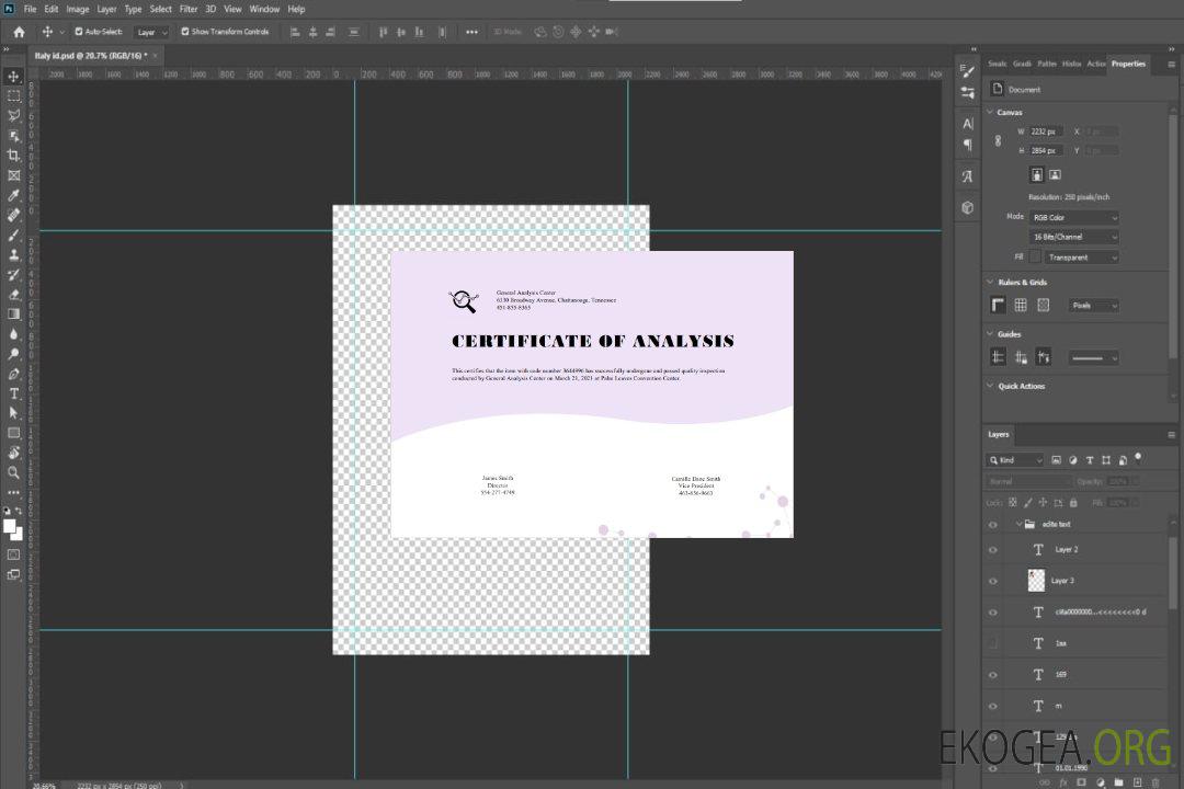 Certificat d'analyse générale des États-Unis template